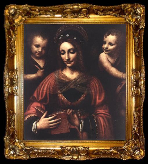 framed  LUINI, Bernardino Saint Catherine a, ta009-2